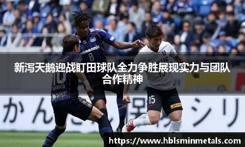新泻天鹅迎战盯田球队全力争胜展现实力与团队合作精神