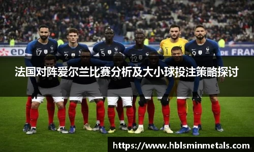 法国对阵爱尔兰比赛分析及大小球投注策略探讨